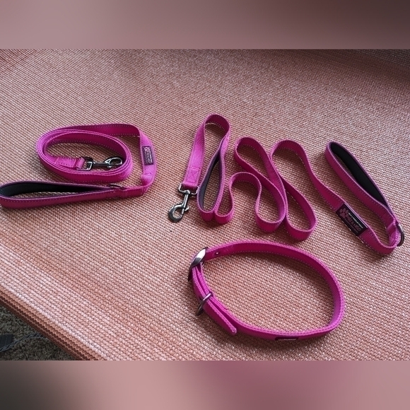 Max & Neo Dog Collar and Leash Set + Outward Hound Backpack - Picture 2 of 12